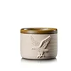 eagle-120ml
