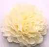 Ivory MF3304