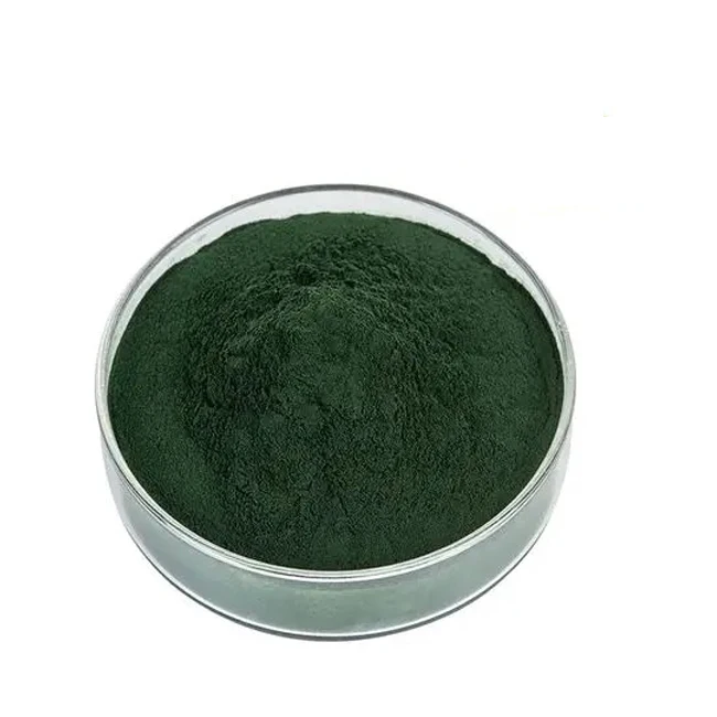 Wholesale Pure Food Grade Sodium Copper Chlorophyllin Powder Safe Coloring Agent for Food