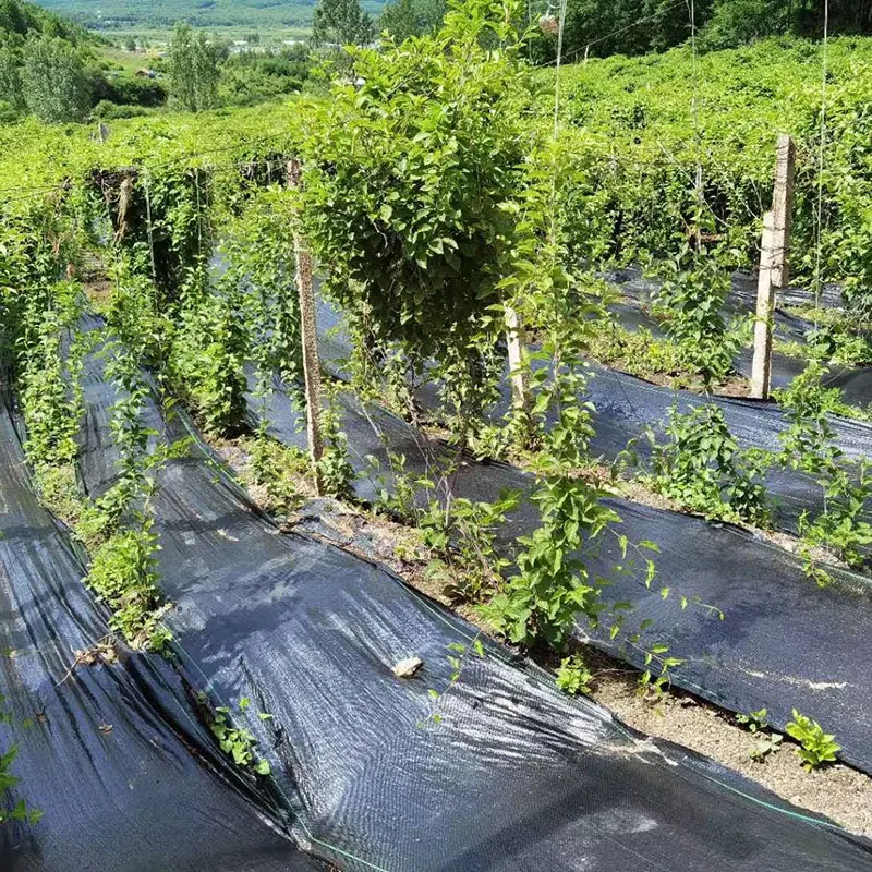 Agriculture  Landscape Fabric Biodegradable Ground Cover Plants Control Cover Weed Mat