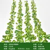 White Feather Vine Leaves (2 leaves per pack)