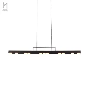 Fashion Modern Indoor Decorative Simple Black Iron Ring Led Pendant Light for Living Room