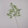 Twigs green