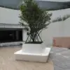 Blanco