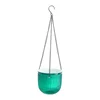 Hanging Green
