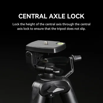FB-T20 New Tripod Live Broadcast Equipment Hot Led Ring Light Self-timer  Adjustable Tripod Phone Holder Camera Tripod detail image