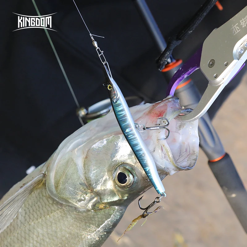 Kingdom Needle Fish Pencil Lures Best Selling Bait