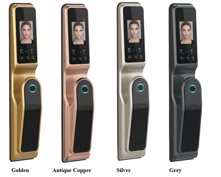 Huarui Lock H10 Face Recognition Smart Digital Door Lock