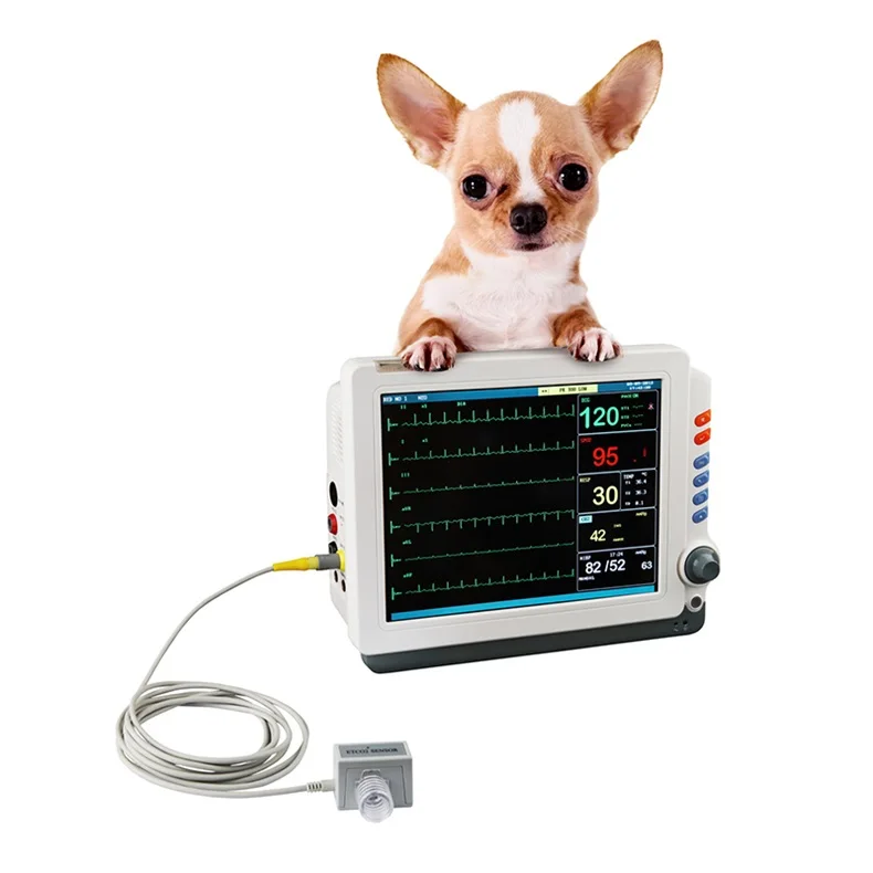 Veterinary animals monitor 12.1'' large screen 6 parameters vet veterinary multiparameter monitor