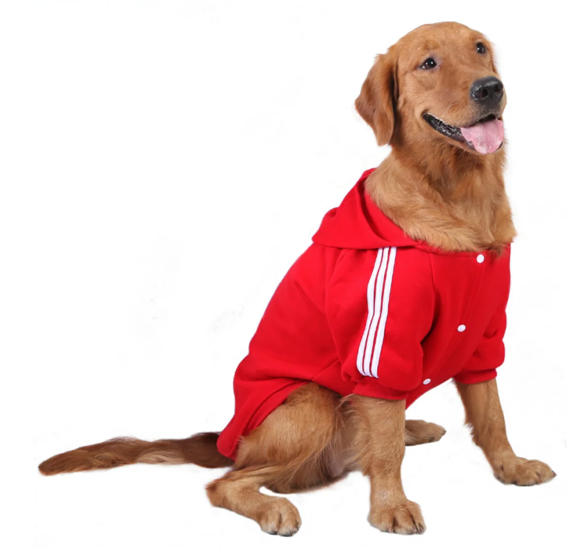 dog clothes wholesale suppliers