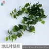 ใบมันเทศแขวนผนัง BLS สีเขียวเข้ม