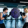 HJ-X Boxing Target