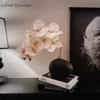 Black 10 stems, white phalaenopsis orchid 1 stem