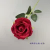 Velvet Open Core Rose Red