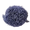 Lavanda