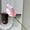 Film 3D calla lily rose