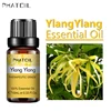 SY5522-09Ylang Ylang