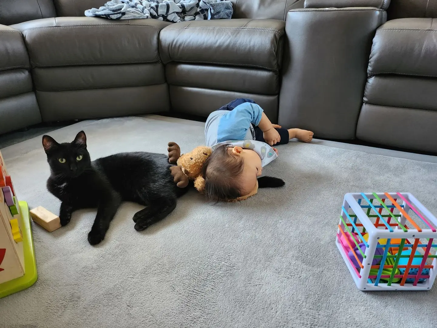 2024 Morden New Design Tatami Rug Super Soft Coral Fleece 35mm Thick