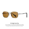 C3 Bright Grey,Tawny