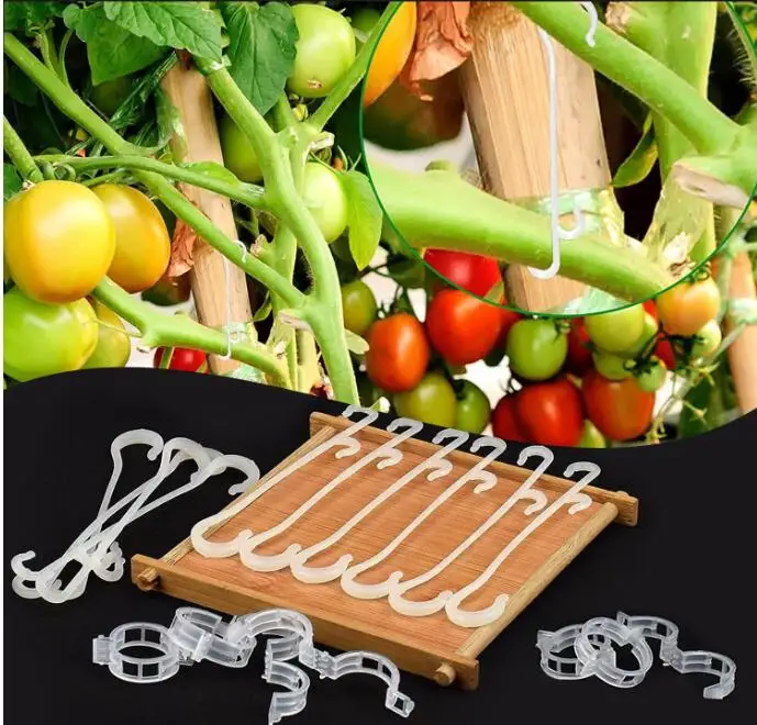 Gancio Per Pomodori Da Giardino, Gancio Di Supporto Per Pomodori Supporto Per Ganci Per Pomodori Ganci Per Pomodori Supporto Per Pomodori Ganci Di Supporto Per Pomodori Con Corda 87987350
