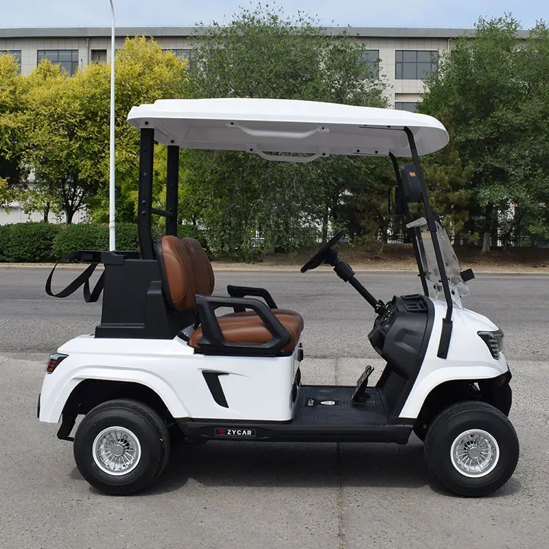 2024 Latest Design Mini Electric Golf Cart Custom 2 Seater Lithium Battery Golf Car