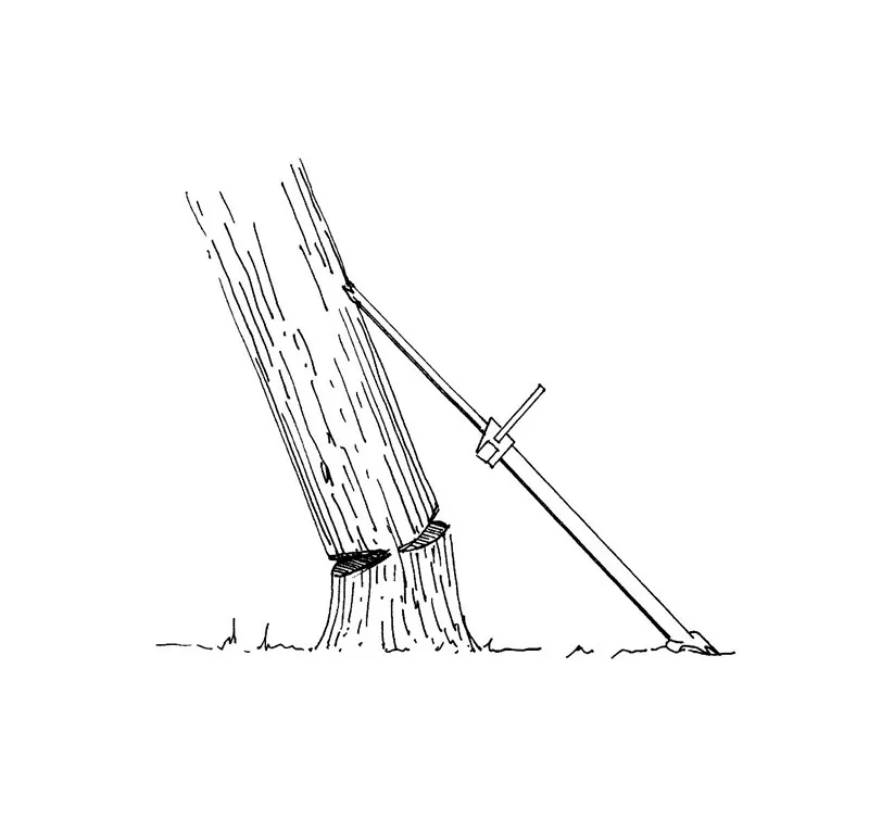 TREE FELLING PUSHER LOG LIFTING TOOL ARBORIST FORESTRY TIMBER WINCH