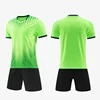verde 6