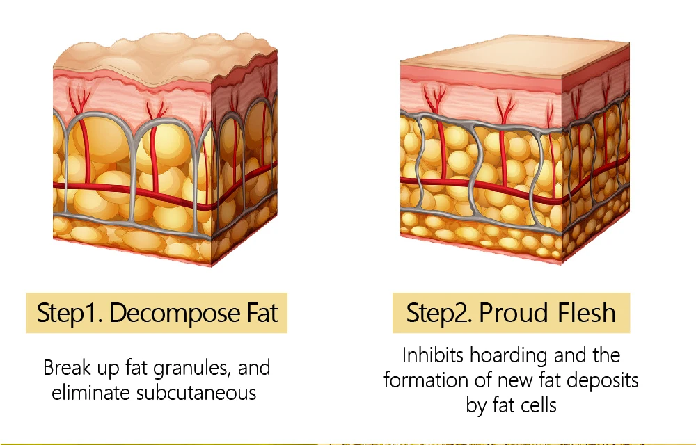 Vibrant Glamour Natural Slimming Cream Thin Waist Firming Body Shaping Healthy Fat Burn Weight Loss Promoting Massage Cream