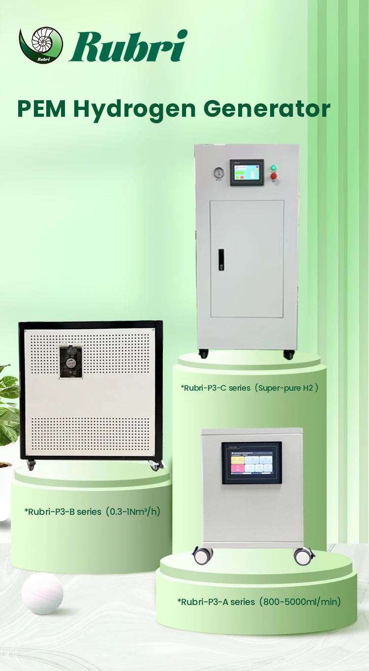 0.5Nm3 Portable PEM Hydrogen Generator Laboratory Hydrogen Production ...