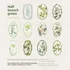 A A Half-Branch of Green