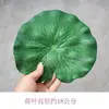 Mini tapete de hoja de loto [18cm]