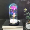Morado, Luminoso 1