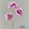 3-headed rose