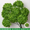 Ortensia/stelo lecca-lecca verde scuro