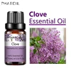 SY5522-14Clove