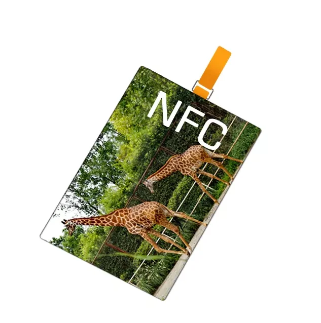 Free Sample Customized Airway RFID NFC Tag Luggage Tag NFC Baggage Smart Tags For Airport Management