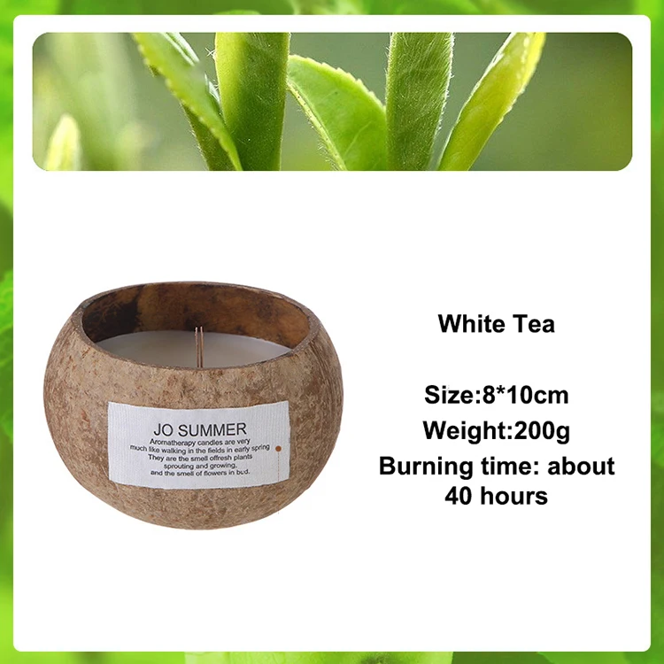 家庭用ココナッツシェルアロマセラピーキャンドル香り大豆ワックス