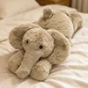 elefante