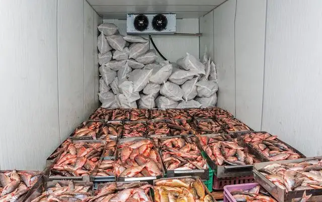 Blast Freezer, 3x2, 380 V, > 1000W - detail 12