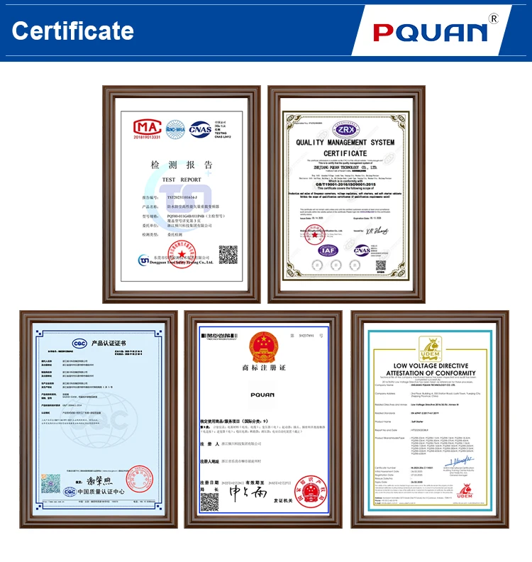 Online Soft Starter Pqzr8-Sz220-T4 Single Phase/Three Phase Versatile Frequency Converter details