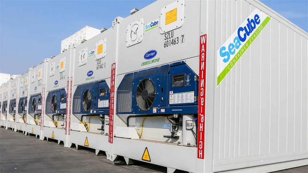 40 Ft Reefer Shipping Container Refrigerator 40 ft Reefer Container Van in Philippines 40 ft Reefer Container Dimensions
