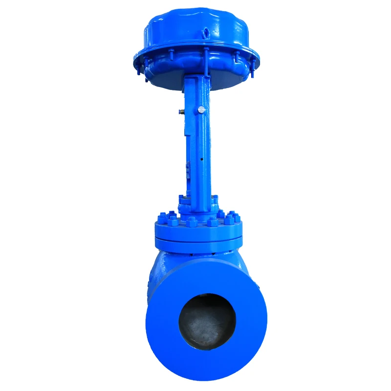 High Bearing Capacity Durable Pressure Control Valve Reduce Fluid Flow Rate Cage Control Valve for Metallurgy and Steel
