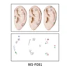 WS-F081