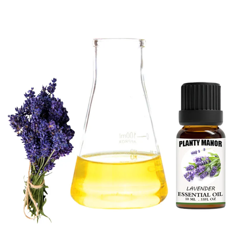Where To Buy Lavender Oil Near Me Factory Directly Bulk Sale Bulk Lavender Oil 1kg Price Lavender