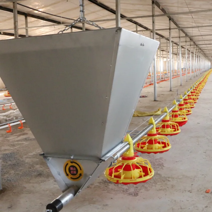 Alibaba.com: Automatic Cage Feeding System for Poultry Farms: CE, BV ...