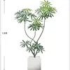 Peacock Wood 1.8m [Luxury Edition] White Square Basin