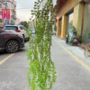 Hanging water drop leaf green