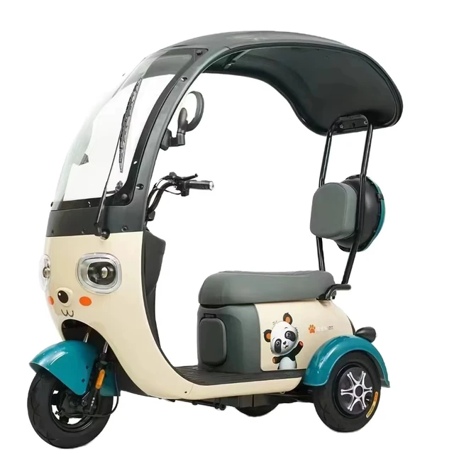 2024 new cheap tricycle 800 watts range of 60 km