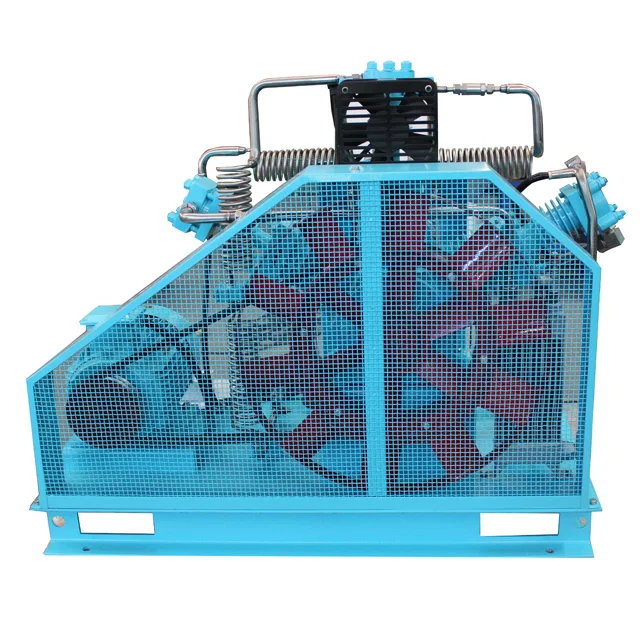 
High pressure High quality Oxygen Diaphragm compressor 