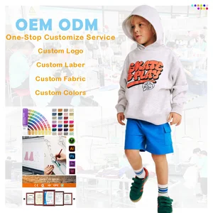 Wholesale Puff Printing Oversize Unisex Heavyweight Hooded Pullover Plain Hoodies & Sweatshirts